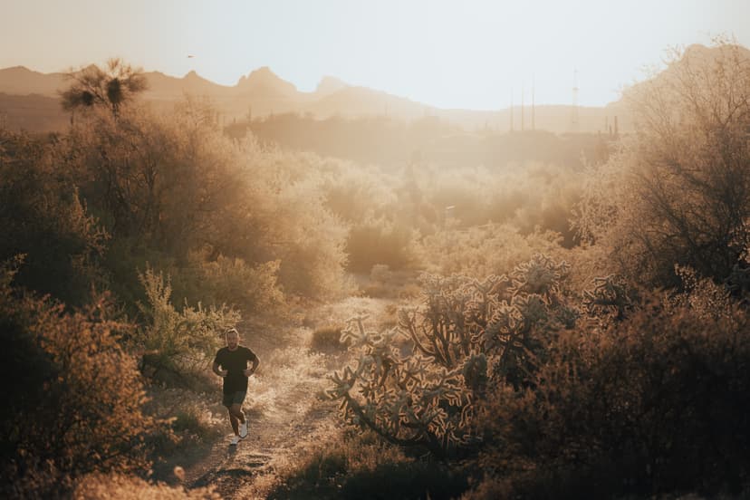 Health & Longevity in 2026: A Complete Guide to Personalized Wellness Solutions